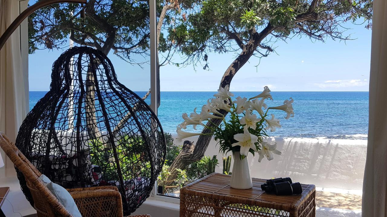 Loro Verde Playa Honda  Kültér fotó